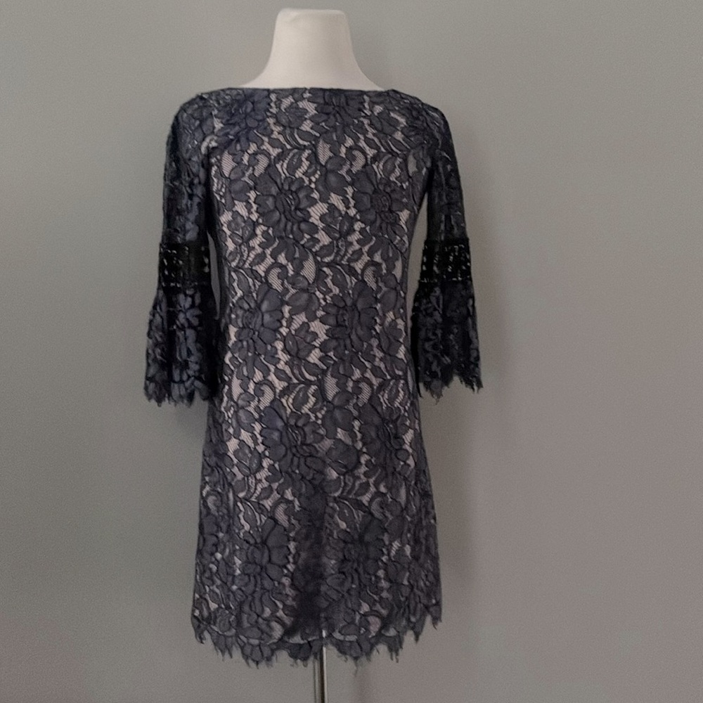 Eliza J Navy Lace Dress